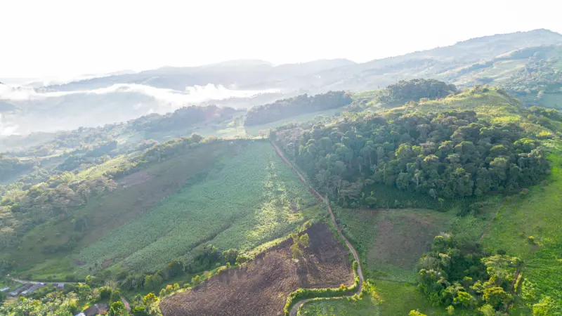 Paisaje de alta montana a 1650 msnm de Finca La Esperanza en Chitaraque Boyaca cultivo de cafe de especialidad Montaña de Fuego