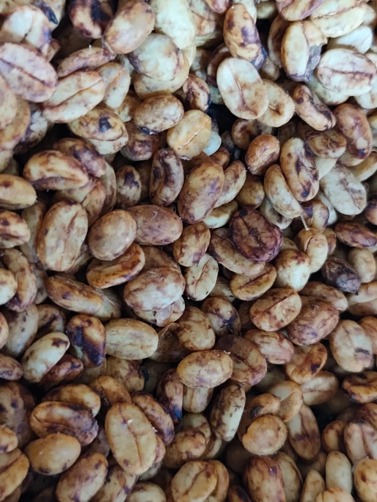 Granos de café de especialidad proceso honey con mucílago natural secándose al sol.