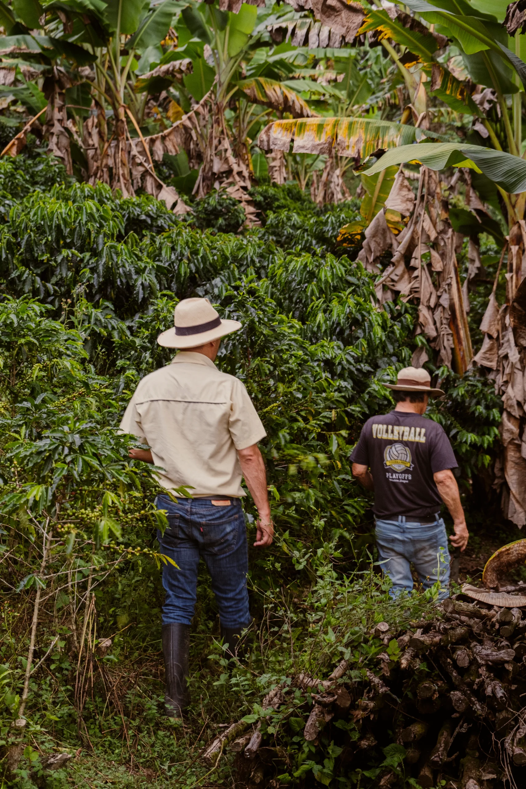 Don Gilberto y yo productores de cafe especial en Finca La Esperanza Chitaraque Boyaca Montaña de Fuego Cafe